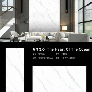 海洋之心